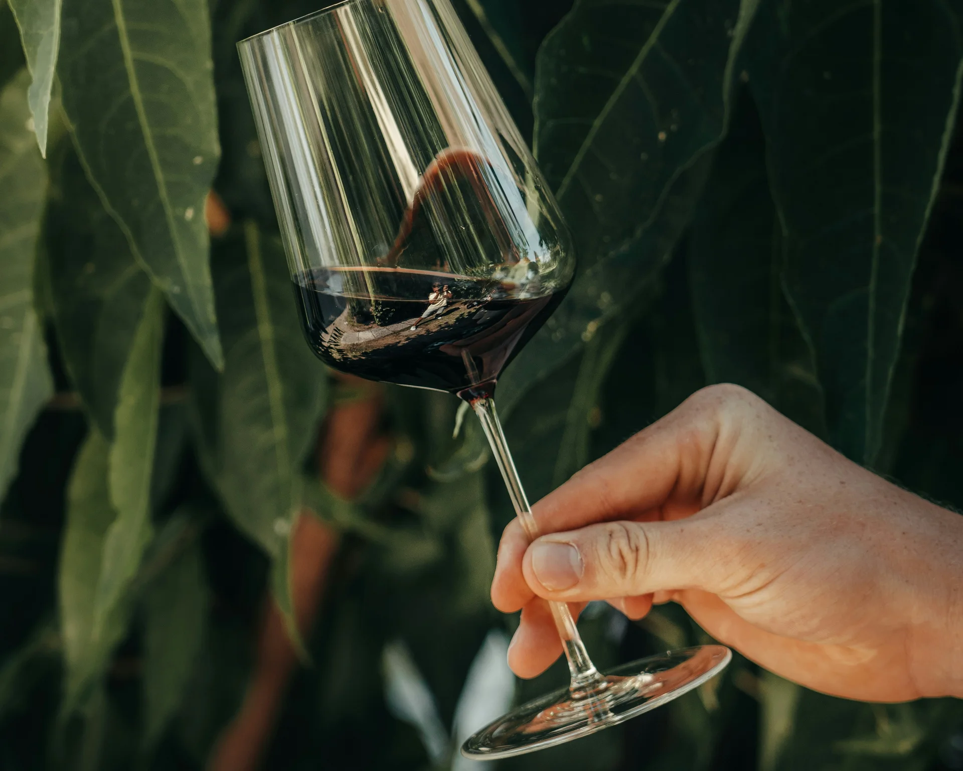NILS am See: Impressionen eines Orts für das süße Leben Hand hält Weinglas mit Rotwein vor grünen Blättern