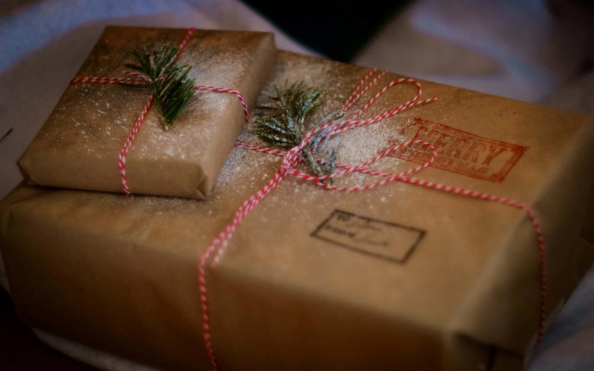 News aus dem NILS am See Zwei Geschenkpakete in braunem Papier mit rotem Band und Tannenzweigen dekoriert