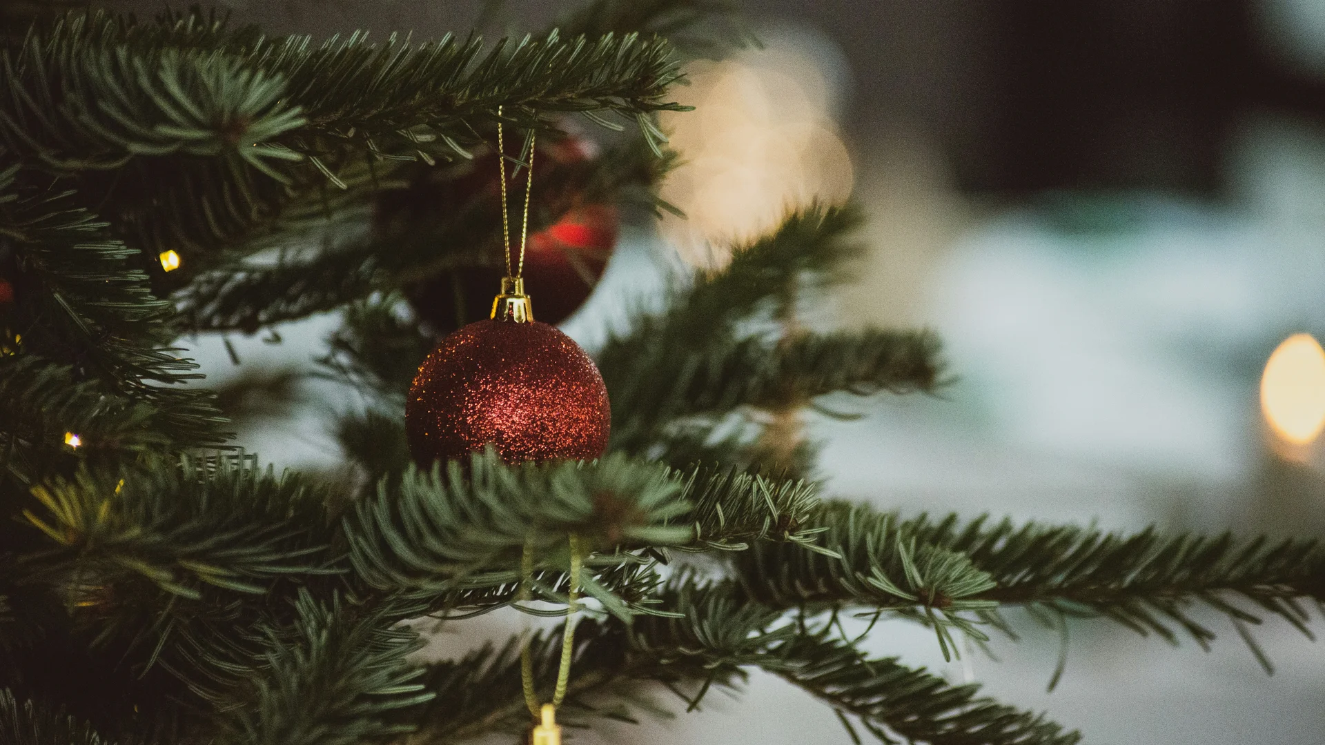 Weihnachten am See im NILS: Ruhe und Zauber Roter glitzernder Christbaumschmuck an einem Tannenzweig