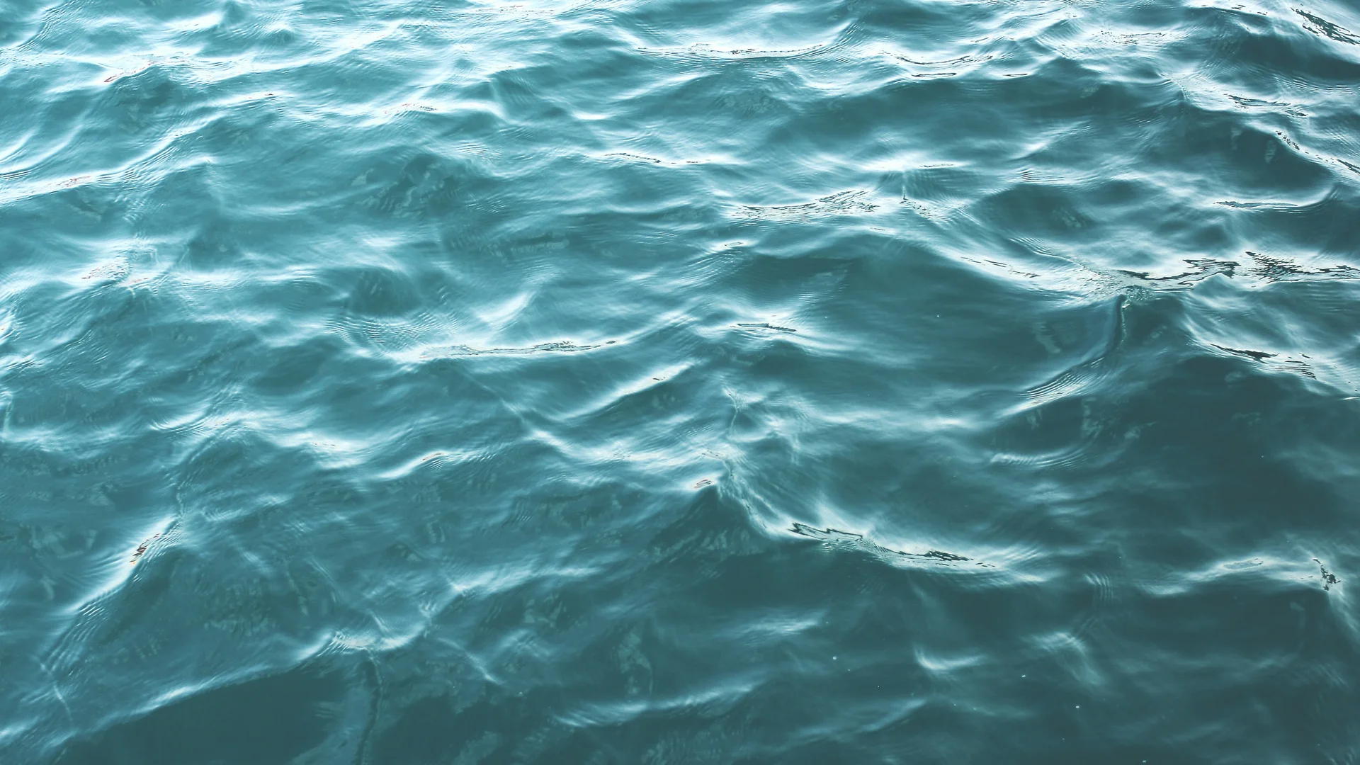 NILS am See: Wassersport am Neusiedler See Oberfläche von leicht bewegtem blauem Wasser