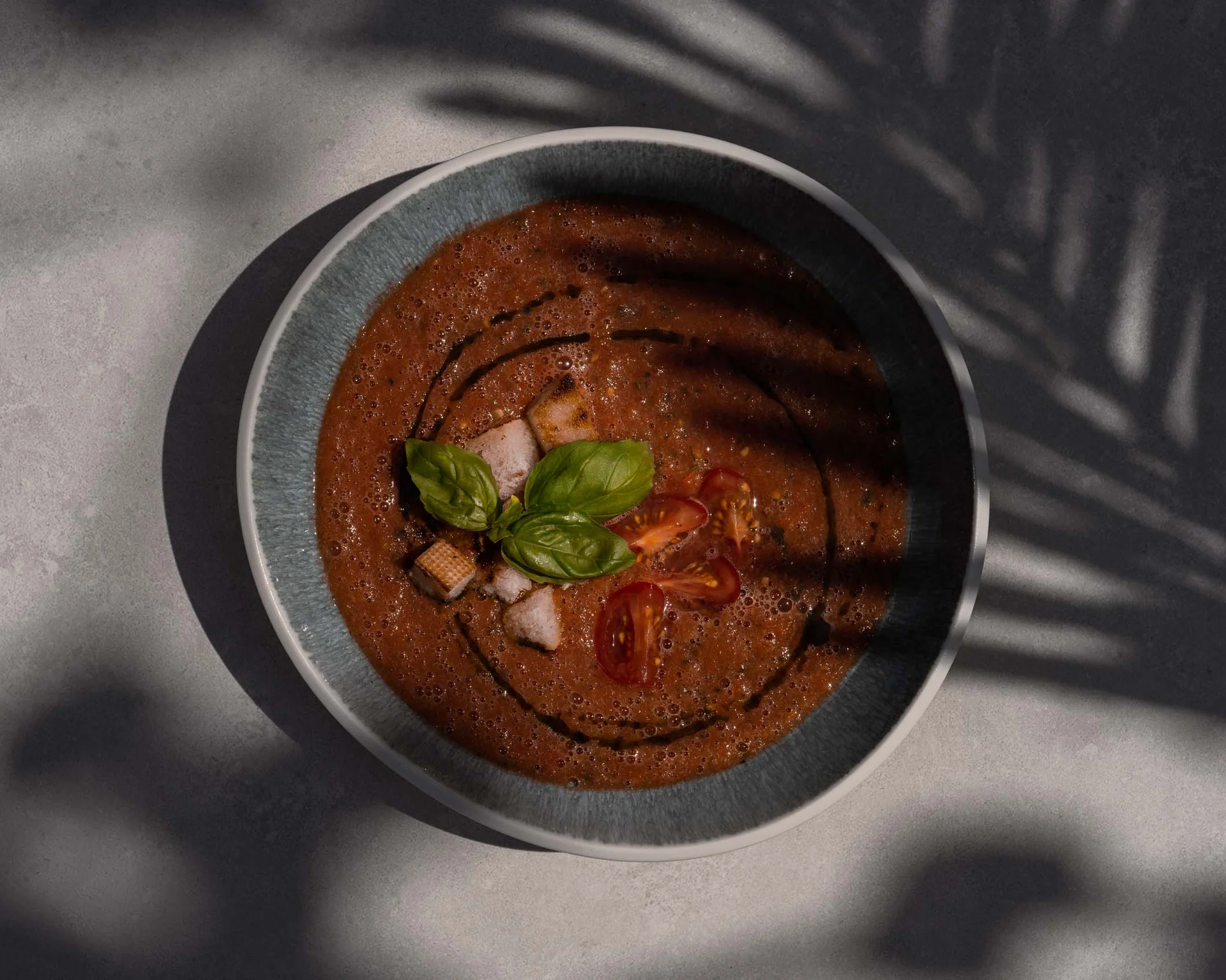 NILS am See: Impressionen eines Orts für das süße Leben Tomatensuppe mit Croutons und Basilikum in Schale, mit Schatten einer Pflanze