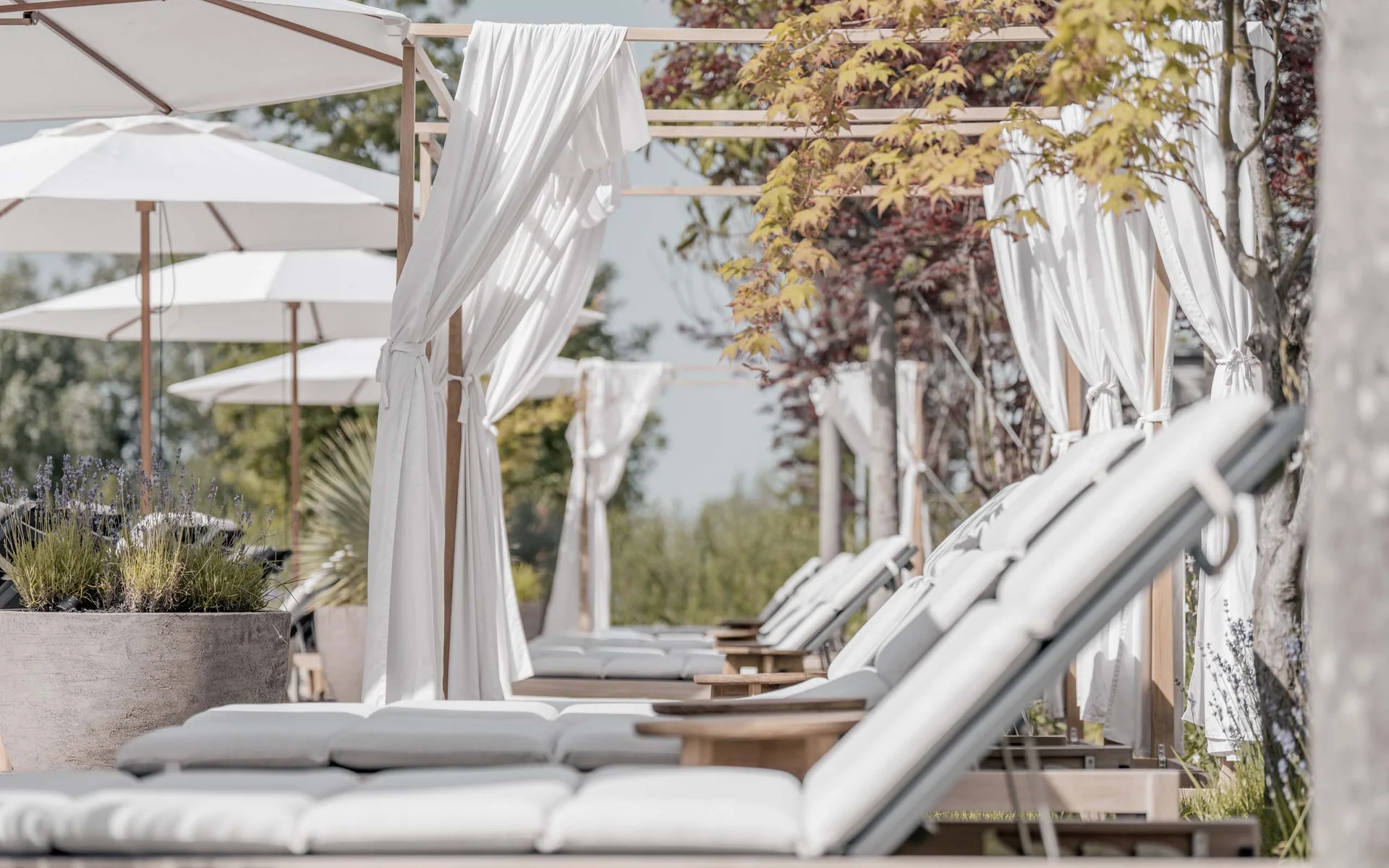 NILS am See: das Boutiquehotel am Neusiedler See Reihe von weißen Liegestühlen und Sonnenschirmen im Freien mit Pflanzen